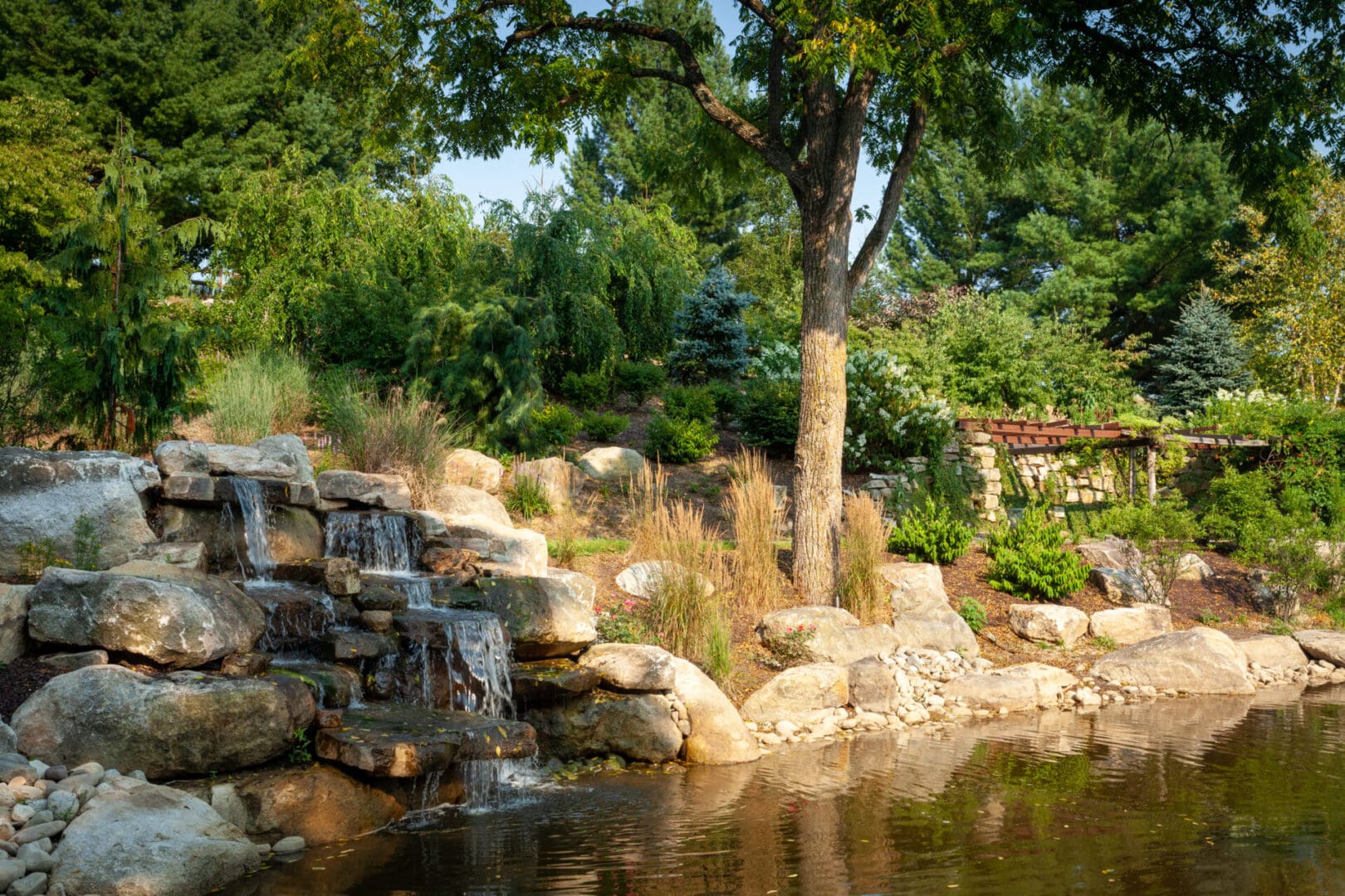 A tranquil pond, nestled amongst towering trees and adorned with natural rock formations, creating a picturesque water feature.