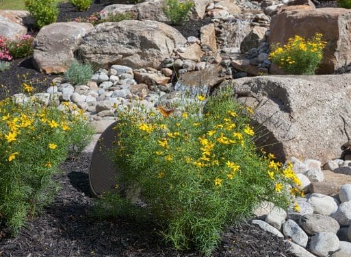 A rock garden featuring yellow flowers designed by Planting Professionals.