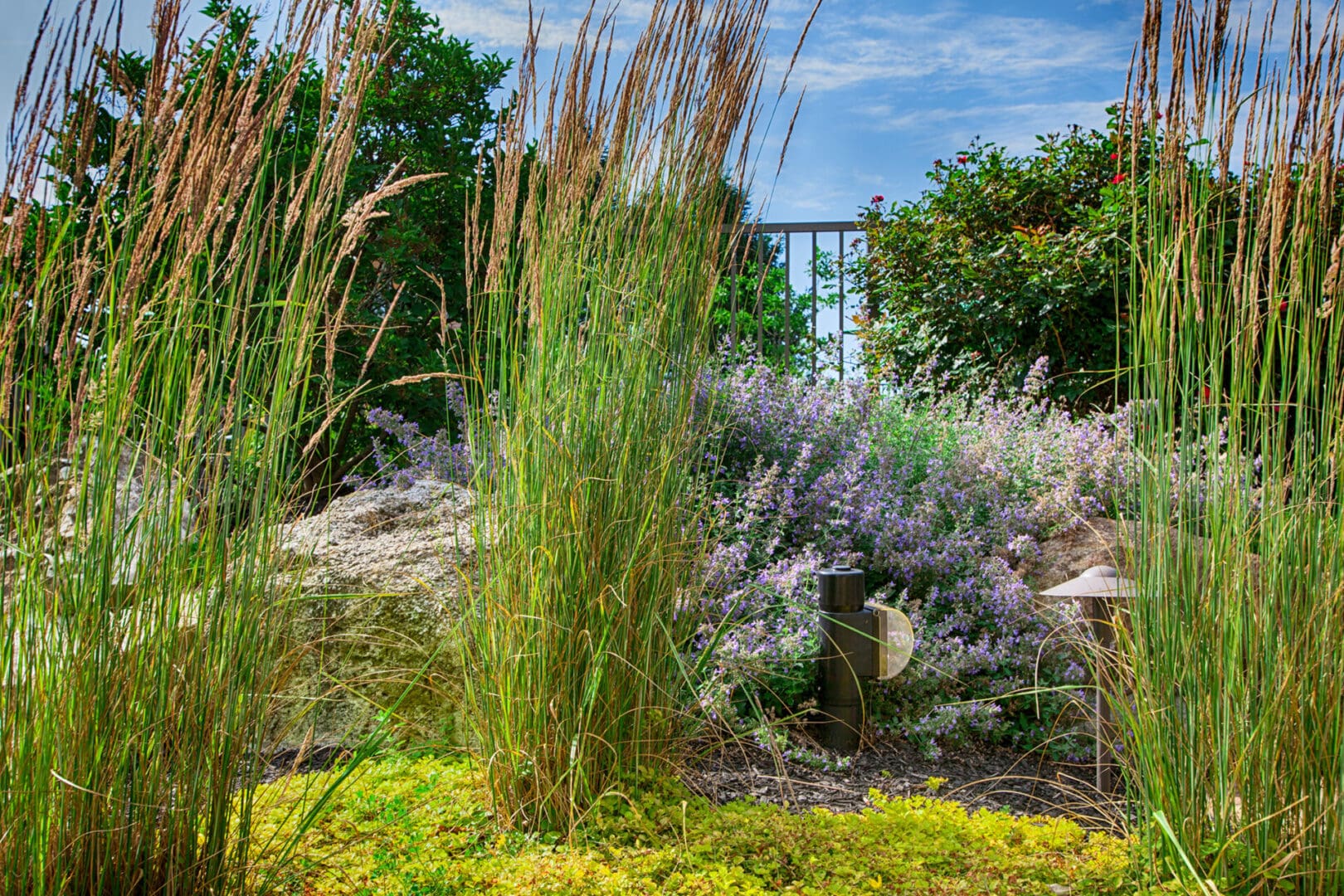 A fenced in area with tall grasses and flowers designed by Planting Professionals.
