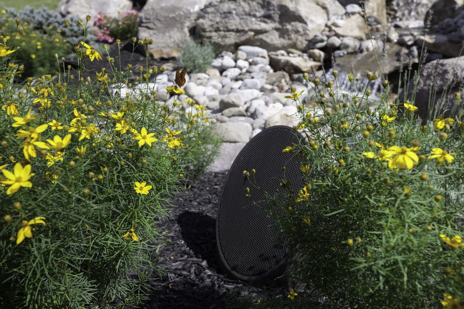 A rock garden with yellow flowers and rocks transformed by captivating outdoor lighting.