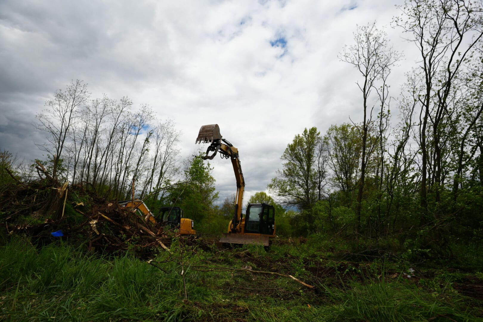 A bulldozer is performing site work in a wooded area.