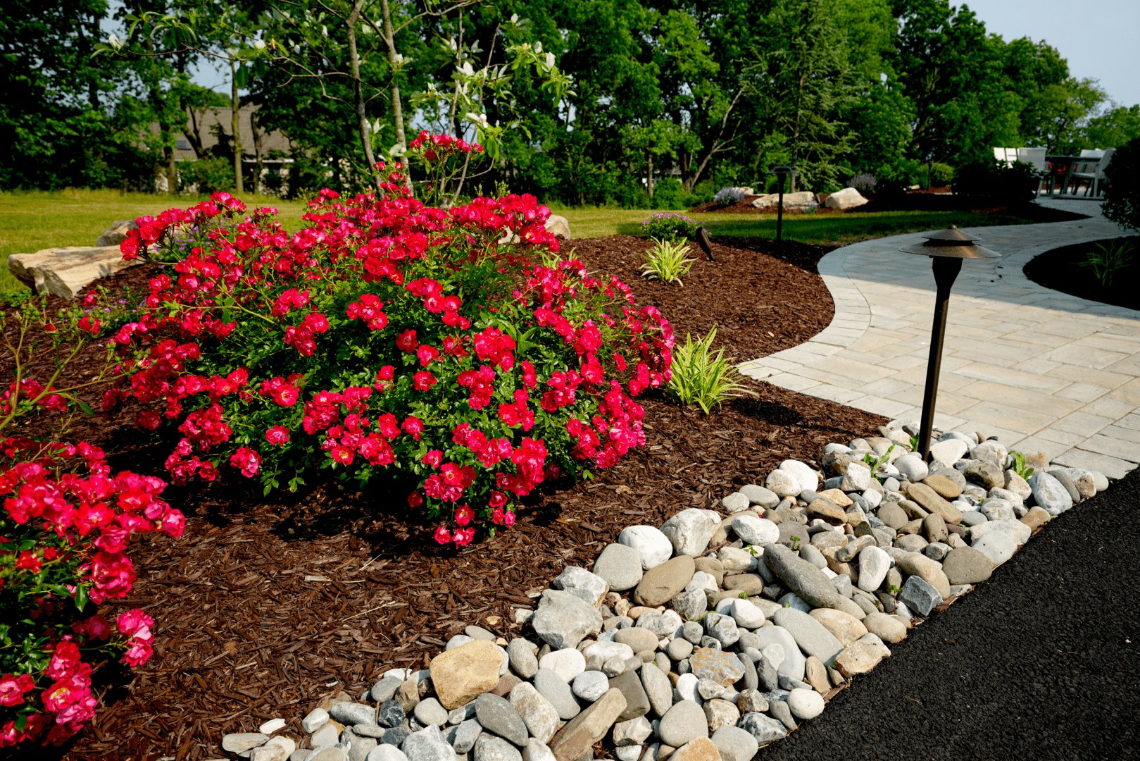 A walkway adorned with vibrant red flowers and natural rocks, creating a picturesque scene in the outdoor lighting.