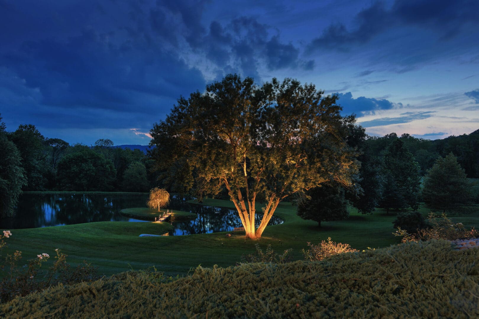 A large tree in the middle of a grassy field, illuminated by outdoor lighting.