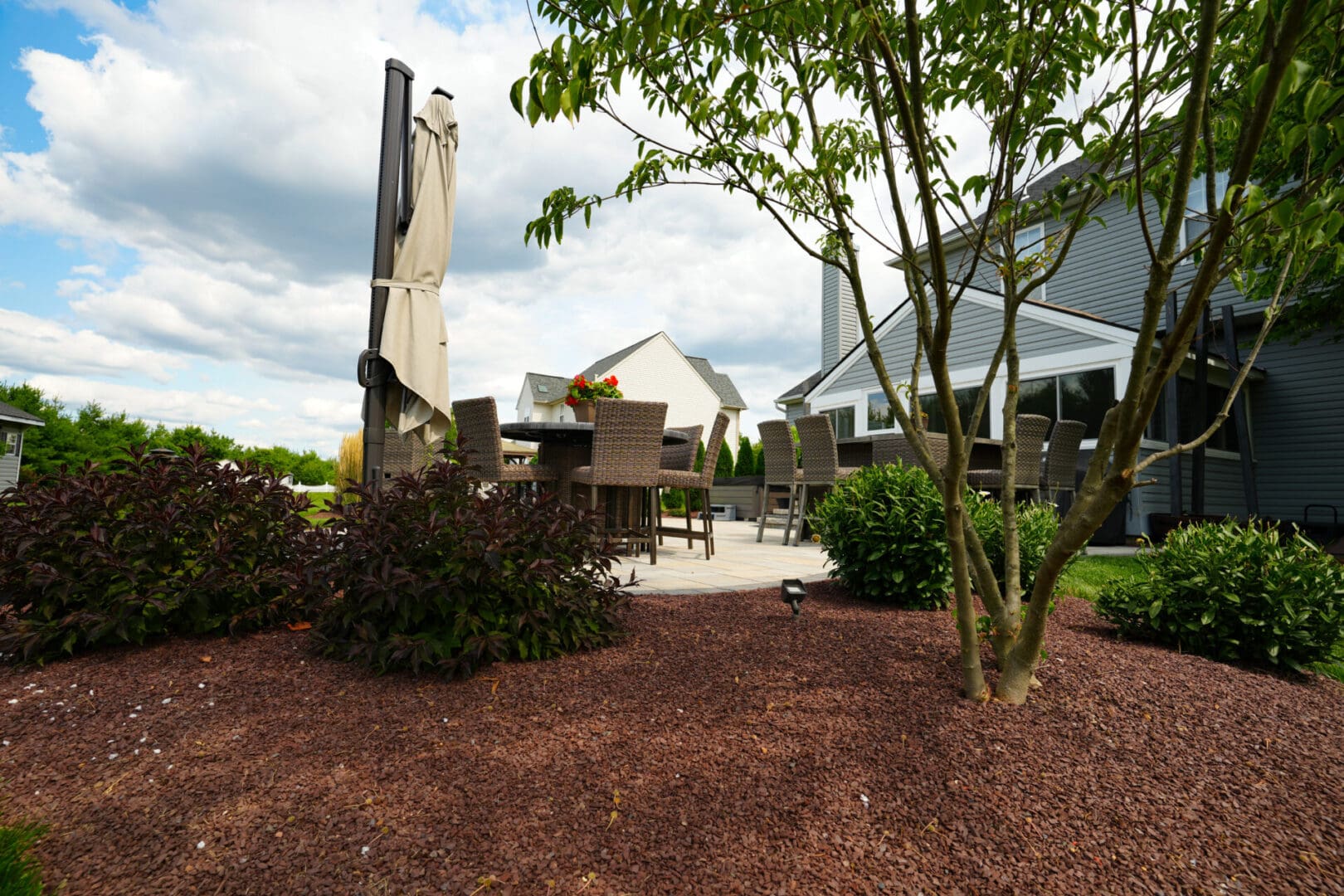 A backyard with trees and shrubs in the background.