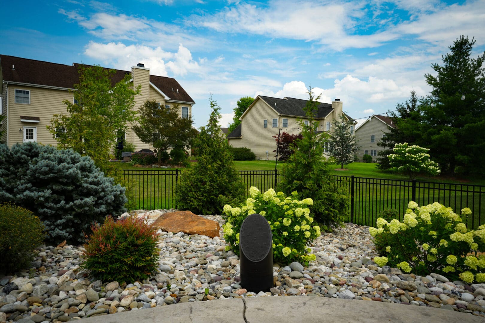 A garden with bushes and trees in the background.