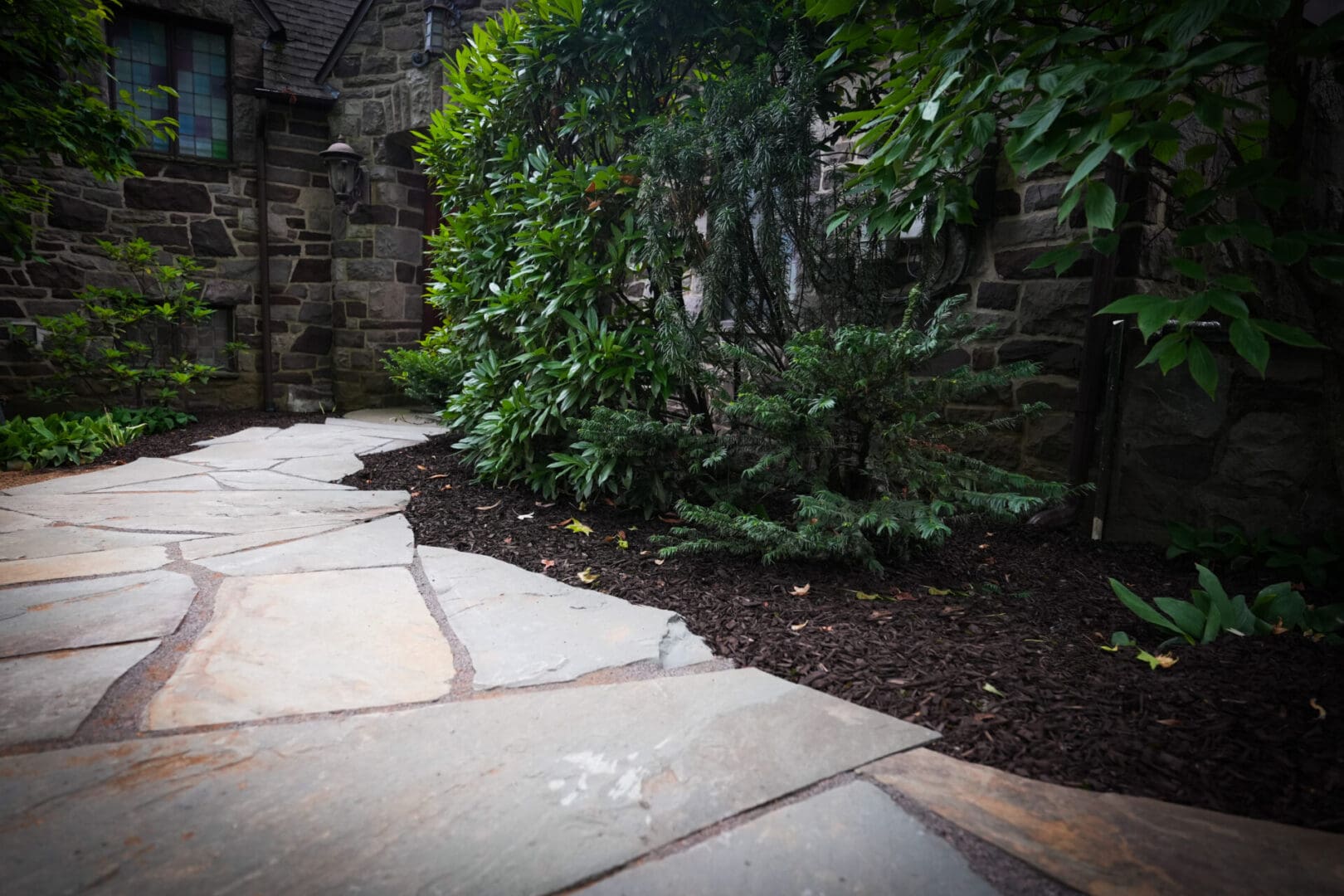 A stone walkway with plants and trees in the background.